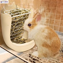 【熱賣精選】兔年紅色圍巾女秋冬季針織毛線新年圍脖雙面保暖百搭學生情侶ins貝蕾帽 歷史價格詳細信息