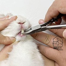 豬仔工坊~皮革清潔增豔劑保證公司貨~防護,保養,清潔,除霉,延長皮革壽命~用過都說好~ 歷史價格詳細信息