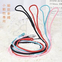 附發票【寵愛生活本舖】-繩粗12mm-尼龍反光寵物牽繩150cm 狗牽繩 牽引繩 歷史價格詳細信息