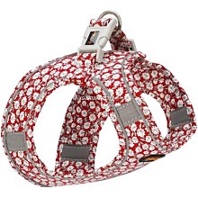 下殺 項圈寵物牌狗牌身份牌純銅定制刻字狗狗貓牌貓咪日本項圈防丟定做用品 歷史價格詳細信息