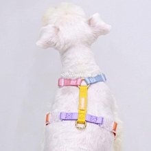 下殺 項圈寵物牌狗牌身份牌純銅定制刻字狗狗貓牌貓咪日本項圈防丟定做用品 歷史價格詳細信息