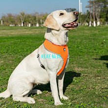 寵物狗狗牽引繩大型犬中型犬小型犬泰迪博美金毛哈士奇遛狗鏈繩子 歷史價格詳細信息