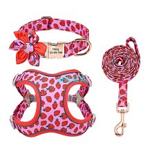 遛狗繩狗狗牽引繩小型犬背心式泰迪柯基遛狗繩子貓咪胸背帶寵物用品狗鏈 免運 歷史價格詳細信息