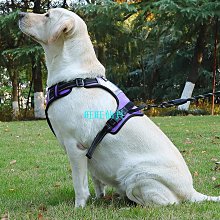 寵物狗胸背帶麂皮絨胸背中小型犬背心式牽引繩 寵物防爆衝反光胸揹帶法鬥胸背中小型犬背帶 歷史價格詳細信息