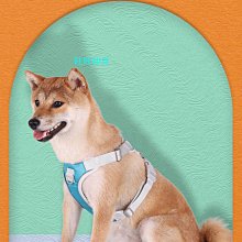 遛狗繩BORORO狗狗牽引繩中大型犬近牽短牽引繩防爆沖遛狗繩子狗鏈子 免運 歷史價格詳細信息