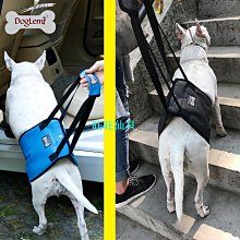 上肢骨傷疾病診療學 楊鳳雲 梁衛東 9787513282468 【台灣高等教育出版社】 歷史價格詳細信息