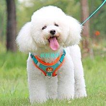背心式狗狗牽引繩小型犬泰迪比熊胸背帶小狗幼犬遛狗繩狗鏈子項圈 歷史價格詳細信息