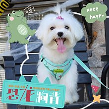 牽引繩 狗狗卡通體配件背心牽引繩泰迪遛狗繩子寵物貓咪外防掙脫胸背 寵物用品 寵寵屋 歷史價格詳細信息