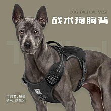 新款狗狗牽引繩狗狗外出牽引繩小狗胸背帶比熊博美小型犬狗繩子 歷史價格詳細信息