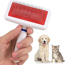 【梳子柯】白大半圓鬃毛梳b1(鬃毛斜捲梳鬃毛梳鬃毛木柄捲梳鬃梳天然鬃毛圓梳豬鬃梳木柄圓梳豬毛梳豬鬃圓梳防靜電圓梳螺旋梳 歷史價格詳細信息