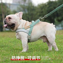 寵物牽引繩 狗狗牽引繩帶燈自動伸縮小型中型犬博美柯基狗鏈遛狗繩子寵物用品 歷史價格詳細信息