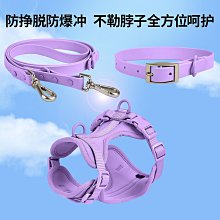 寵物背心牽引繩 狗狗卡通立體配件泰迪遛狗繩 喵咪外出防掙脫胸背 狗狗牽引繩 寵物牽引繩 高顏值胸背帶 歷史價格詳細信息