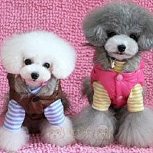 【米狗屋】cheer三層蕾絲網綁帶生理褲-白底˙XS、S、M、L、XL號˙中型可 歷史價格詳細信息