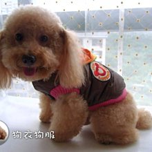 狗衣狗服│【秋冬款】日本peppets愛心水鑽可愛蝴蝶結淑女格子裙 歷史價格詳細信息