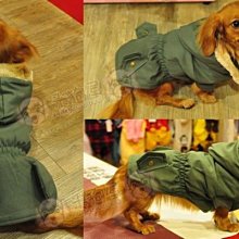 【米狗屋】秋冬款＊cute大蝴蝶結點點緞帶咖啡豹紋衣 歷史價格詳細信息