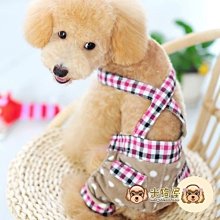 【米狗屋】cheer三層蕾絲網綁帶生理褲-白底˙XS、S、M、L、XL號˙中型可 歷史價格詳細信息