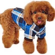 【米狗屋】cheer三層蕾絲網綁帶生理褲-白底˙XS、S、M、L、XL號˙中型可 歷史價格詳細信息