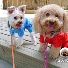 CUTIE 防水野餐墊 歷史價格詳細信息