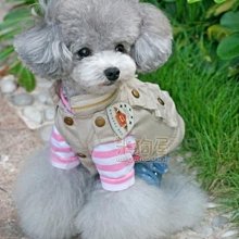 【米狗屋】cheer三層蕾絲網綁帶生理褲-白底˙XS、S、M、L、XL號˙中型可 歷史價格詳細信息