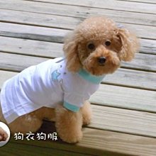 可愛 polo領 粉色條紋 毛衣 2024新款 秋冬 學生 慵懶風 奶系 溫柔 針織上衣 歷史價格詳細信息