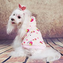 【狗狗愛貓貓小舖】柔柔糖果系保暖啾啾連帽裙衣(粉/藍色)_小型犬_小狗衣服_狗服_寵物衣服貓衣服變裝狗窩狗包狗窩狗床 歷史價格詳細信息