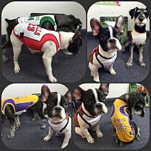 ۞芙芙遊樂園۞(現貨)狗狗世界盃足球背心 寵物衣服春夏款泰迪大小狗狗服飾 XS.S.M.L.XL.XXL下標區 歷史價格詳細信息