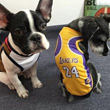 ۞芙芙遊樂園۞(現貨)狗狗世界盃足球背心 寵物衣服春夏款泰迪大小狗狗服飾 XS.S.M.L.XL.XXL下標區 歷史價格詳細信息