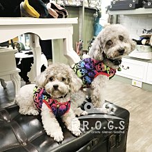 寵物衣服 動物造型法蘭絨變身衣 四腳衣 連帽衣 狗衣服 貓衣服 法蘭絨 鈕扣 套頭 保暖 萌 防寒 寵物裝 秋冬新款 歷史價格詳細信息