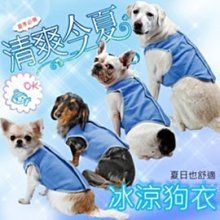 寵物夏季降溫鋁板 犬貓降溫鋁板 兔子降溫 倉鼠龍猫散熱板 夏天消暑用品 散熱鋁板 寵物降溫鋁板 鋁板 歷史價格詳細信息