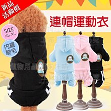 (新品上市-特價????️台北現貨) 戈雅 白色微笑瓶 小燈泡 晶石貓眼 甲油膠 貓眼組合套裝 美甲專業【雅妤精選】 歷史價格詳細信息