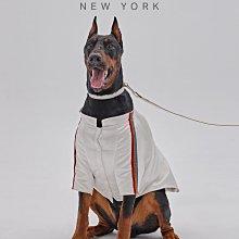 簡約時尚【美國PEHOM】可調節式雨衣⭐李佑群聯名款(XS~XL) 尼龍材質 雨天 狗衣服 狗雨衣 寵物衣服 寵物雨衣 歷史價格詳細信息