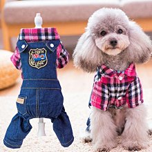 現貨熱銷-可以裝貓的衛衣養貓用品寵物出行神器擼貓服抱貓狗狗攜帶衣服網紅真真啊 歷史價格詳細信息