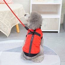 現貨熱銷-貓咪衣服冬季防掉毛寵物保暖冬款幼貓可愛的英短藍貓布偶貓貓秋冬真真啊 歷史價格詳細信息