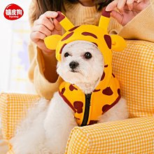 現貨熱銷-吉米娃娃狗狗衣服2021秋冬裝泰迪比熊寵物狗運動休閑兩腳棉衣加絨真真啊 歷史價格詳細信息