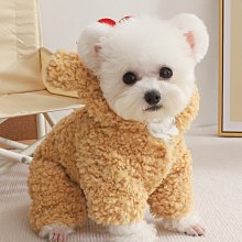 現貨約克USB剃須刀刮鬍刀電源線配件拍下請一定備注剃須刀刮鬍刀型號充電線 歷史價格詳細信息