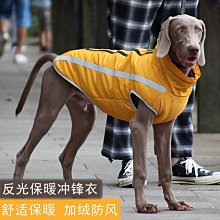 現貨熱銷-狗狗衣服冬裝加厚保暖小型犬狗衣服羽絨服比熊泰迪雪納瑞博美法斗真真啊 歷史價格詳細信息