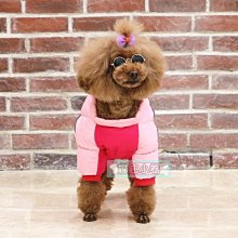 啊֒迪達斯男鞋網面鞋防臭輕便透氣運動鞋軟底休閒跑步鞋女鞋 歷史價格詳細信息