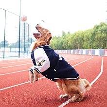 現貨熱銷-柯基狗窩冬天保暖狗狗可拆洗四季通用柴犬法斗中小型犬窩墊子寵物真真啊 歷史價格詳細信息
