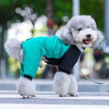 現貨熱銷-狗狗衣服小型犬秋冬泰迪比熊博美幼犬可愛潮牌寵物四腳衣冬裝棉服真真啊 歷史價格詳細信息