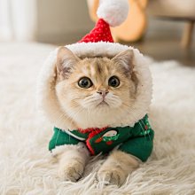 現貨熱銷-可愛貓爪點點膠少女心修正帶式雙面膠學生女孩手帳專用手賬貼紙透明膠帶兒童手工膠卷迷你便宜手杖用品 歷史價格詳細信息