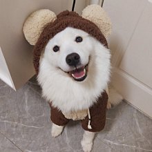 現貨熱銷-狗狗衣服Corgi櫻桃紅格子狗狗衣服夏季薄款寵物襯衫柯基柴犬法斗泰迪衣服 歷史價格詳細信息