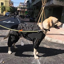 寵物阿拉斯加狗繩寵物金毛胸背帶狗狗牽引繩背心式大型犬可調節防爆沖牽引繩 歷史價格詳細信息