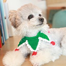 寵物貓貓圍脖裝飾泰迪狗狗項圈小型犬貓項鏈貓咪脖圈可愛貓圈狗圈 歷史價格詳細信息