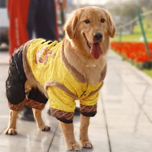 寵物衣服  狗狗衣服狗狗唐裝大型犬冬季金毛新年保暖拉佈拉多邊牧過年紅色喜慶衣服 臺灣熱賣 歷史價格詳細信息
