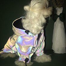 狗狗衝鋒衣 大型犬衣服 狗雨衣 寵物雨衣 寵物防雨衣 大狗衣服 狗狗雨披 狗狗戶外必備 狗衣服 歷史價格詳細信息