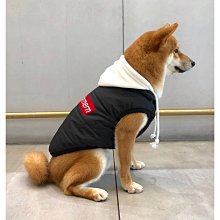 寵物狗狗衣服小狗服裝秋冬款加厚保暖比熊泰迪博美小型犬約克夏犬 歷史價格詳細信息