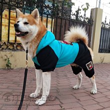 狗狗衣服薩摩耶中型大型犬金毛拉布拉多冬季大狗加厚寵物秋冬裝 寵物衣服 大狗衣服 狗衣服 歷史價格詳細信息