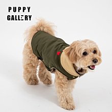 現貨-GALLERY DEPT水洗做舊彩虹燙金字母寬松百搭oversize版型短袖T恤簡約 歷史價格詳細信息