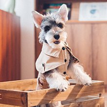 現貨熱銷-PET & Crystal情侶水晶手鏈瑪瑙手串手鏈寵物毛發骨片紀念飾品爆款 歷史價格詳細信息