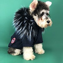 現貨熱銷-狗狗衣服冬裝加厚保暖小型犬狗衣服羽絨服比熊泰迪雪納瑞博美法斗真真啊 價格比較,價格查詢,歷史價格詳細信息